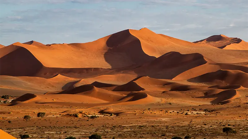 Namibia – Wüstenwind, Dünen & Safari