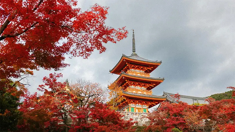 Japan – Sushi, Tempel & Shinkansen