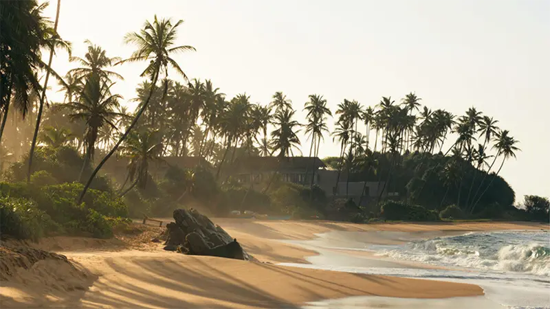 Sri Lanka – Königsstädte und Küstenzauber