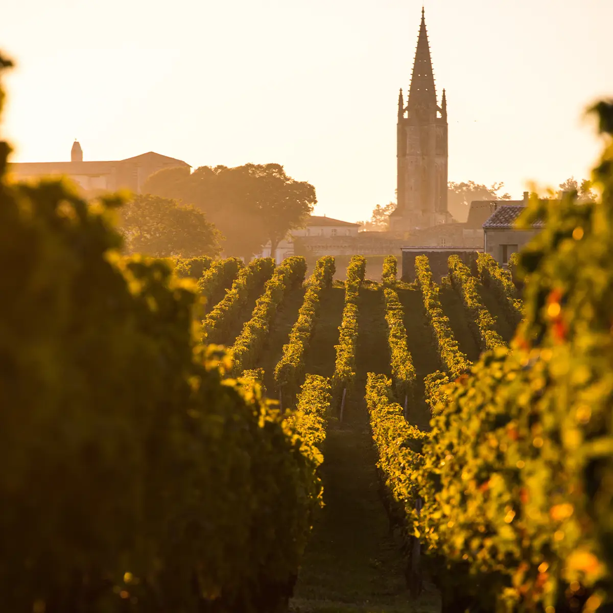 Rundreise Frankreich Titelbild 1