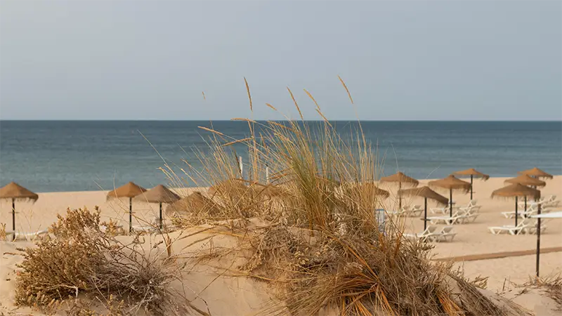 Portugal – Von den Hochebenen zum Meer