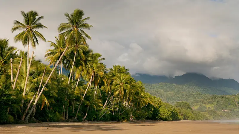 Costa Rica – Pura Vida & Naturwunder