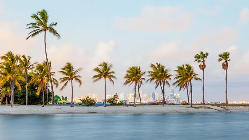 USA – Big Apple, City Lights & Coastline Nights